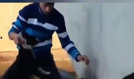 莆田小孩爆料事件最新,揭开校园霸凌背后的真相