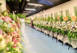 花篮网最新爆料视频大全,精彩瞬间一网打尽