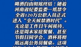 河南网友爆料视频最新版,揭秘惊人真相！