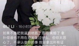 黑总前妻最新爆料,一段不为人知的豪门恩怨