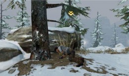 白树最新爆料视频,神秘事件背后的惊人真相