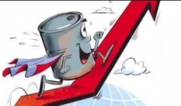 最新油价爆料消息新闻报道,最新爆料揭示市场走势