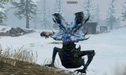 白树最新爆料视频,神秘事件背后的惊人真相