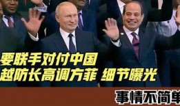 菲防长最新爆料,揭秘南海局势背后的真相