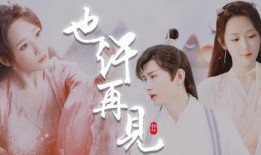 杨紫檀健次最新爆料,揭秘幕后故事与精彩瞬间