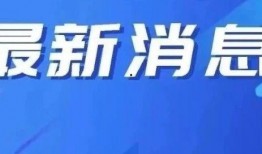辽宁盘锦最新爆料,揭秘辽宁湿地生态奇迹背后的故事