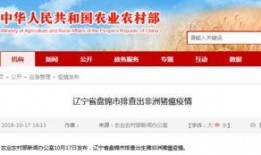 辽宁盘锦最新爆料,揭秘辽宁湿地生态奇迹背后的故事