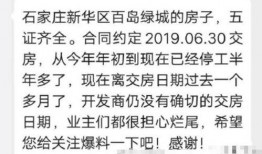石家庄交房最新爆料,揭秘最新爆料背后的真相与挑战