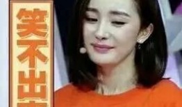 新闻姐最新爆料,最新爆料背后的惊人真相