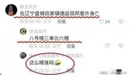 辽宁盘锦最新爆料,揭秘辽宁湿地生态奇迹背后的故事