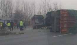 武邑爆料最新消息今天,今日热点事件速览