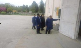 遵义凤冈爆料事件最新,真相追踪与舆论漩涡