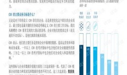 爆料模型最新咨询网站下载,咨询网站下载全解析
