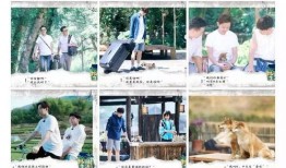 向往五最新爆料,明星阵容大揭秘，精彩内容抢先看！