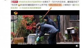 向往五最新爆料,明星阵容大揭秘，精彩内容抢先看！